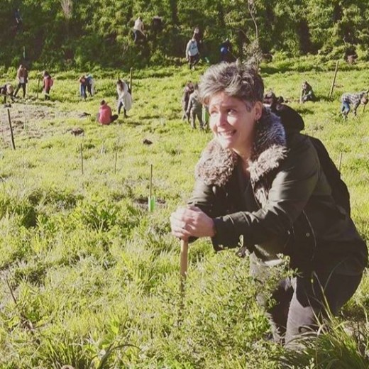 Silvia planting threes