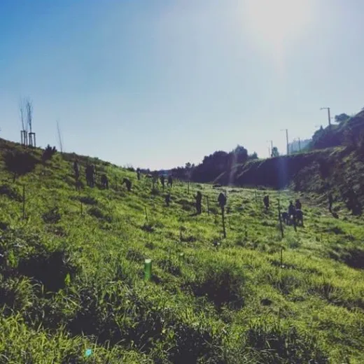 un jardin à Lisbonne