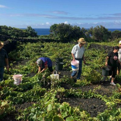 a group of people standing in a garden