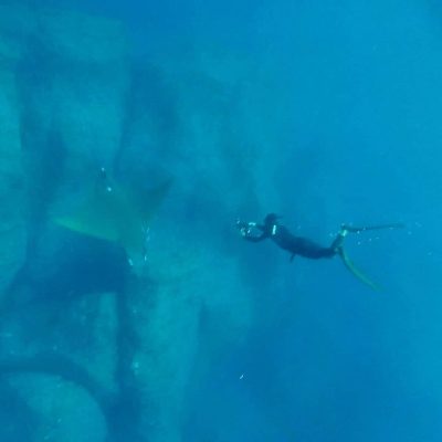 plongee-azores-raye-ohmycodtours