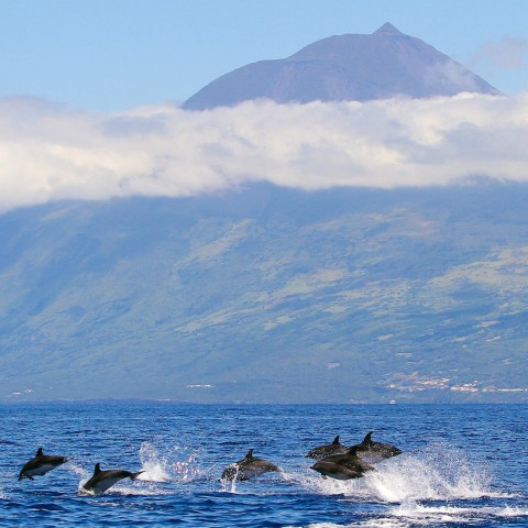 a large body of water with a mountain in the background