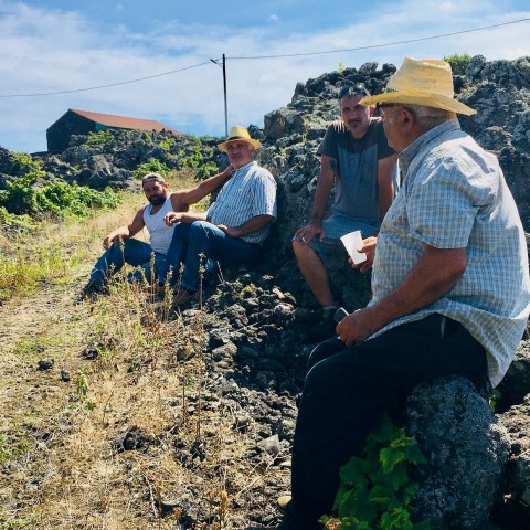 a group of people sitting in a garden