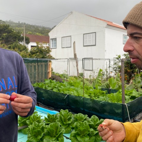 a man holding a hot dog