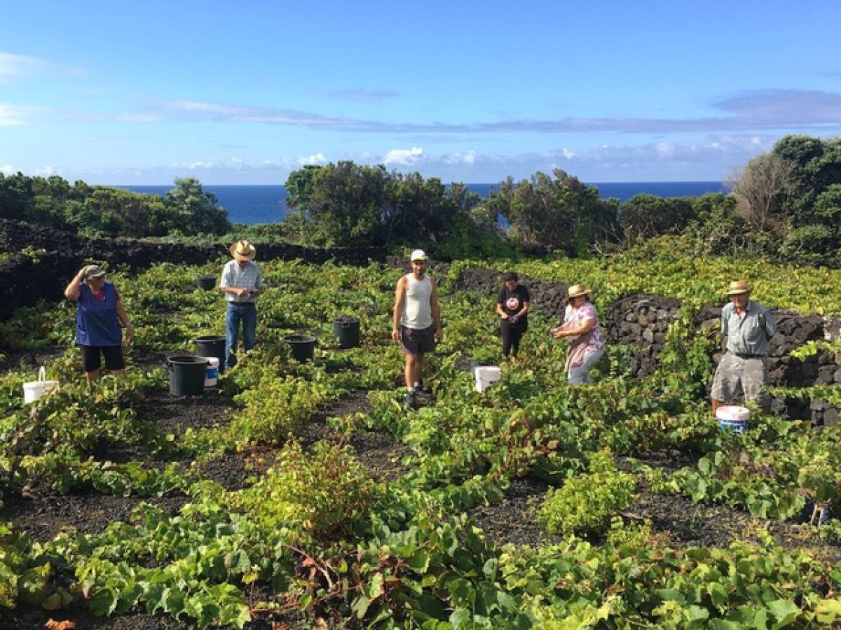 a group of people in a field