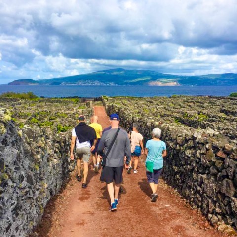 a group of people standing on a rock wall