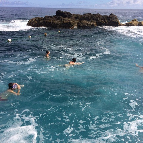 a group of people swimming in a body of water
