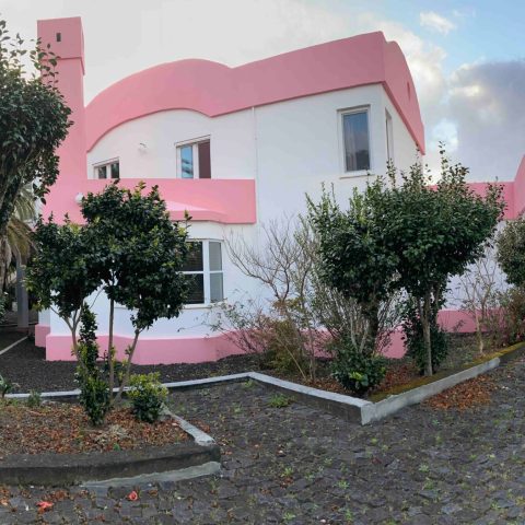 a house with bushes in front of a building
