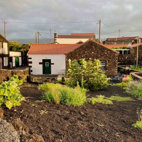 a small house in a garden