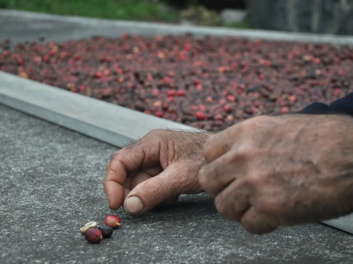a person lying on the ground