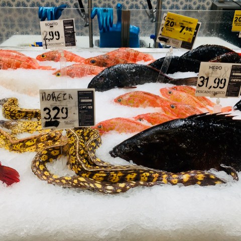 a piece of cake covered in snow