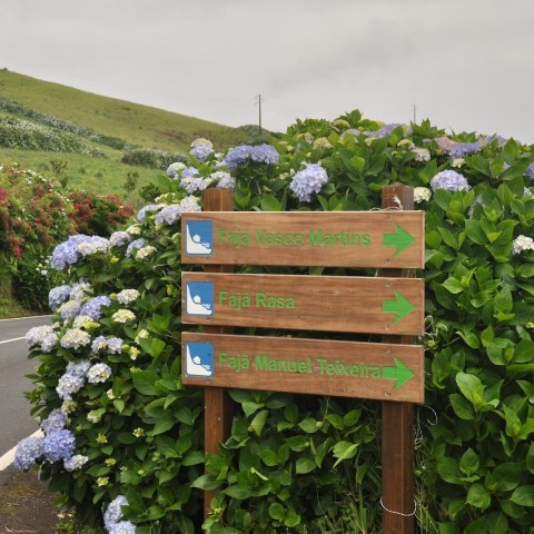 a wooden bench sitting on the side of a road