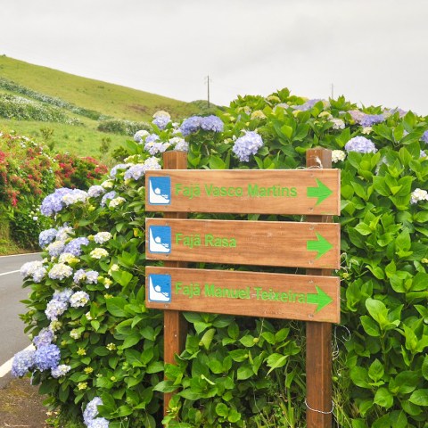a wooden bench sitting on the side of a road
