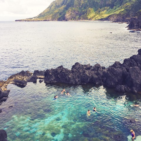 a flock of birds sitting on a rock next to a body of water