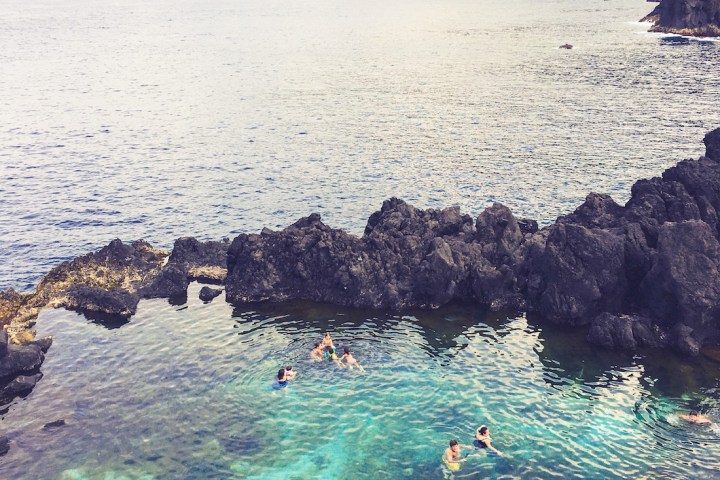 a flock of birds sitting on a rock next to a body of water