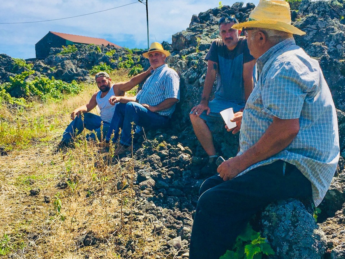 a group of people sitting at a park