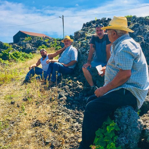 a group of people sitting at a park