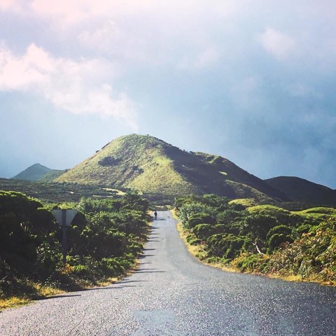 a path with trees on the side of a mountain