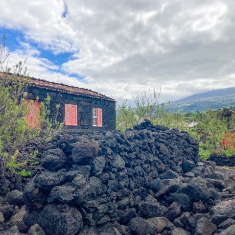a canyon with a mountain in the background