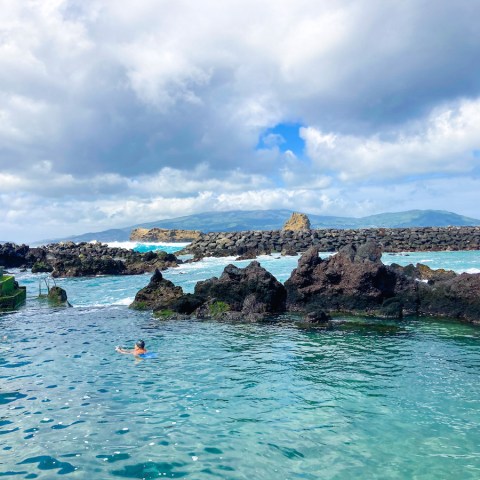 a group of people swimming in a body of water