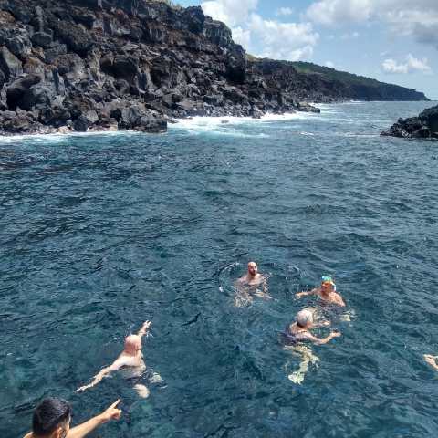 a group of people swimming in a body of water