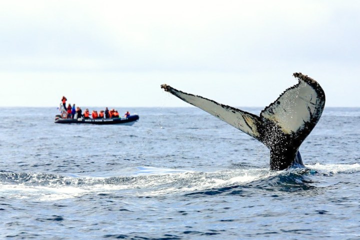 a person riding a surf board on a body of water