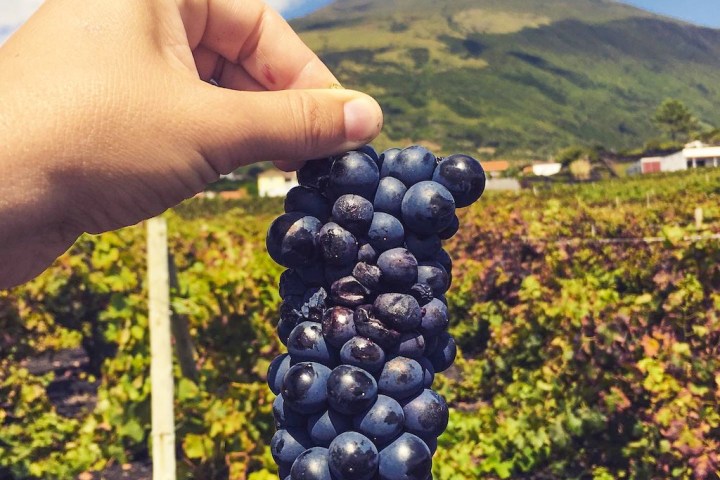 a person holding a flower