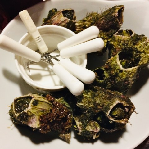 a chocolate cake on a plate