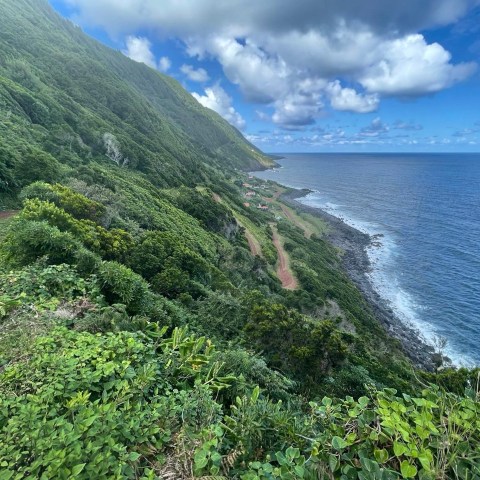 a close up of a hillside next to a body of water