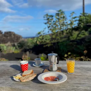food on a picnic table