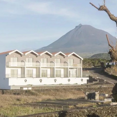 a tree in front of a house