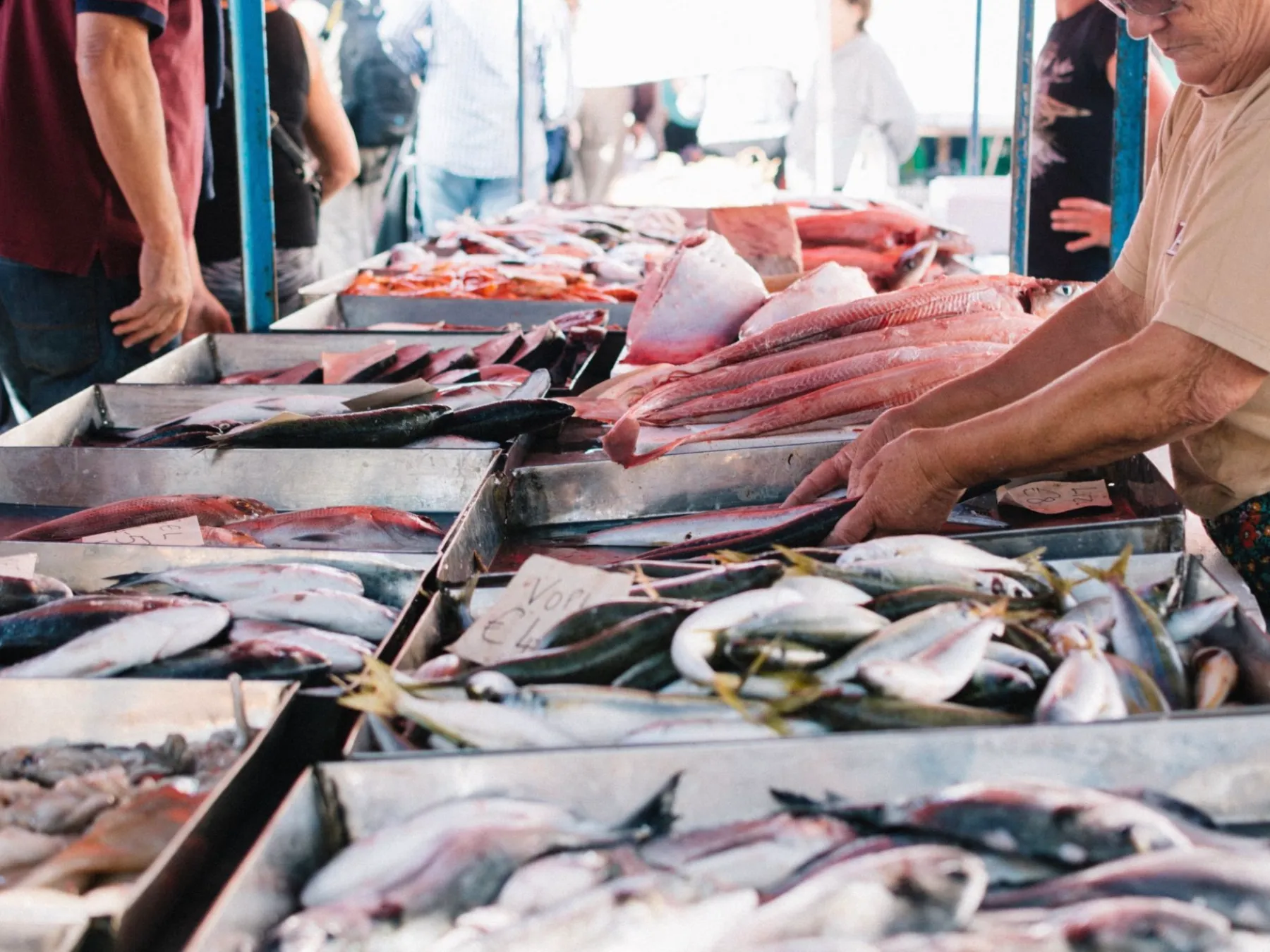 a fish market with fishs disposed in boxes