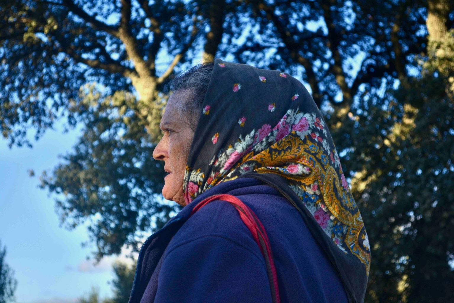 a person standing in front of a tree