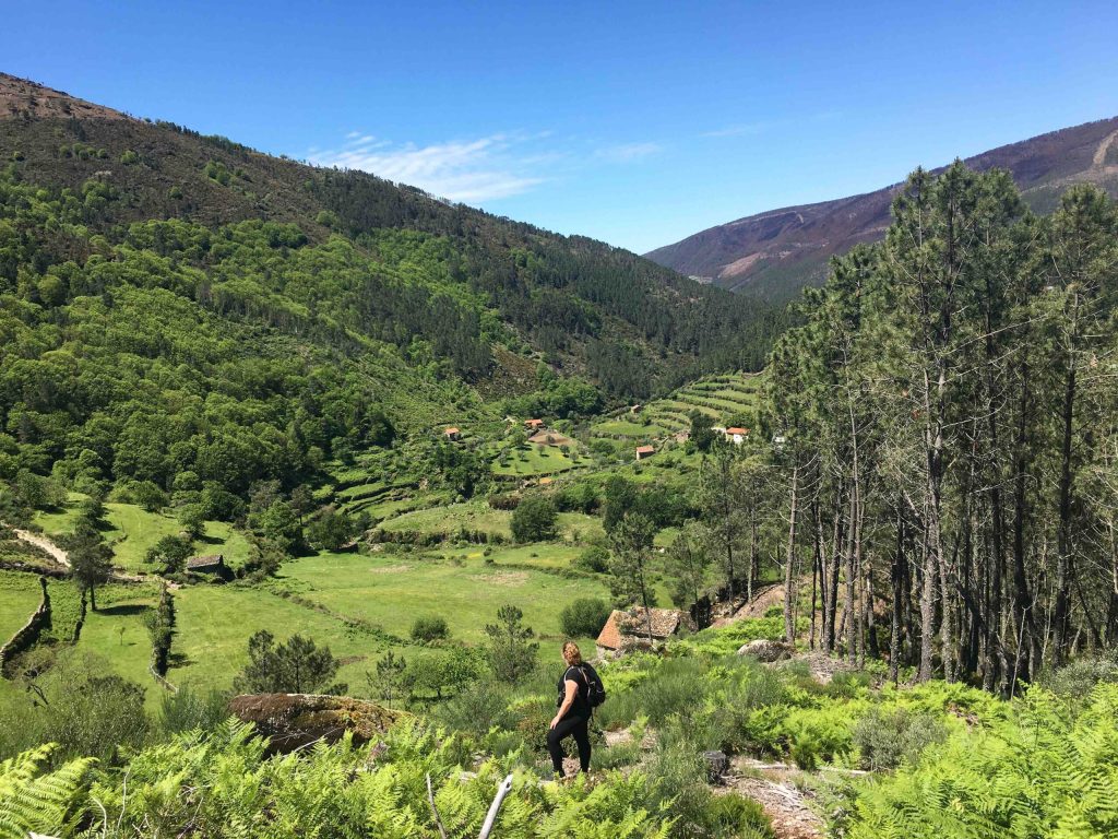 a person standing on a lush green hillside