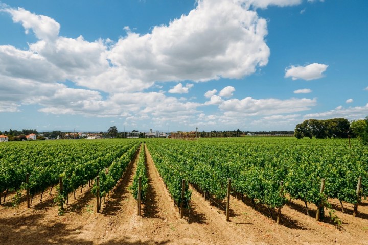 a view of a dirt field