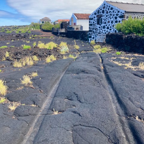 a train traveling down a dirt road