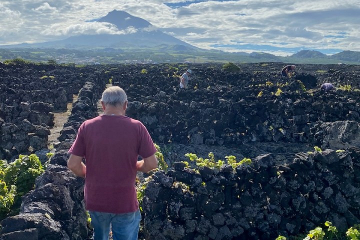 a man standing in front of a mountain