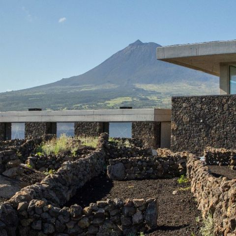 a herd of sheep standing on top of a rocky mountain