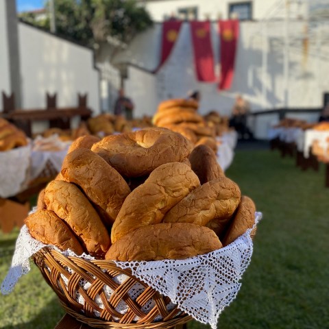 a group of stuffed animals sitting on top of a picnic table