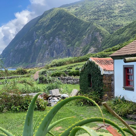 a house with bushes in front of a mountain