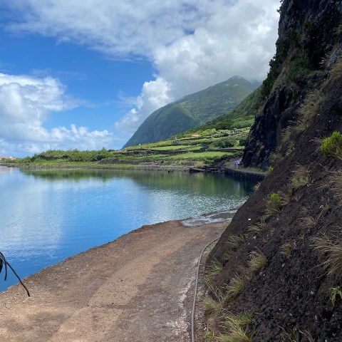 a close up of a hillside next to a body of water