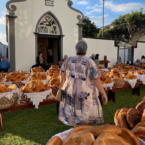 a group of people that are standing in the grass