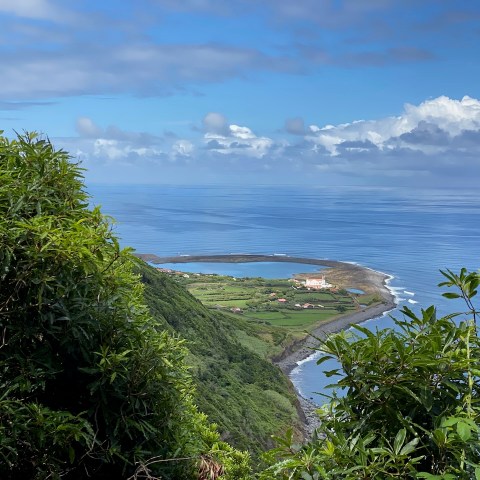 a close up of a hillside next to a body of water