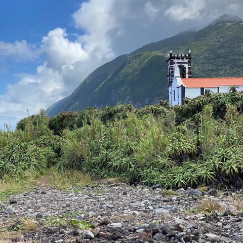 a view of a rocky mountain with trees in the background