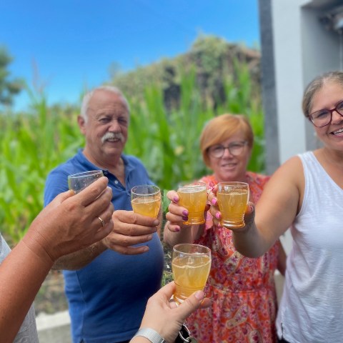 a group of people holding wine glasses