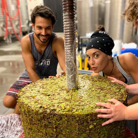a person cutting a cake