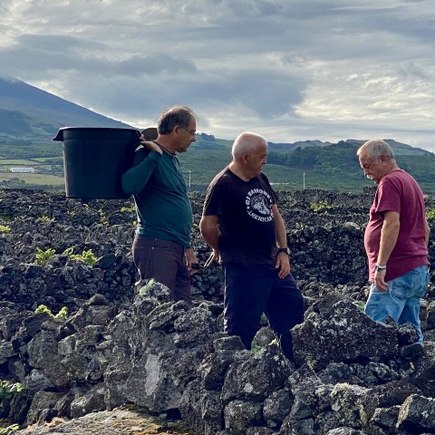 a group of people standing on a rock