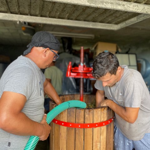 a man standing in a room