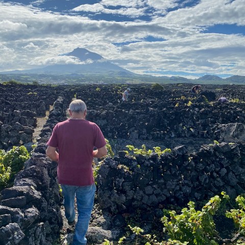 a man standing in front of a mountain