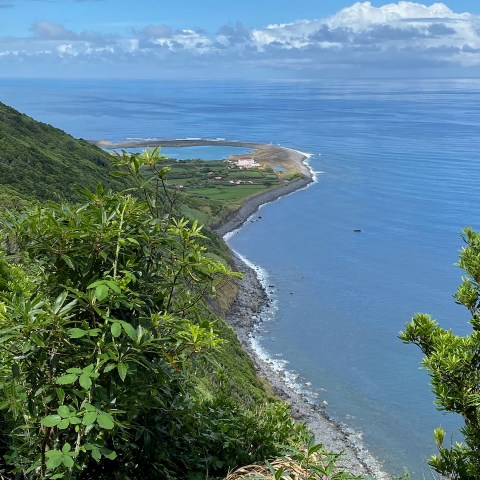 a close up of a hillside next to a body of water