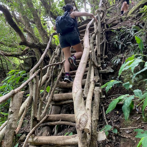 a person standing next to a tree in a forest